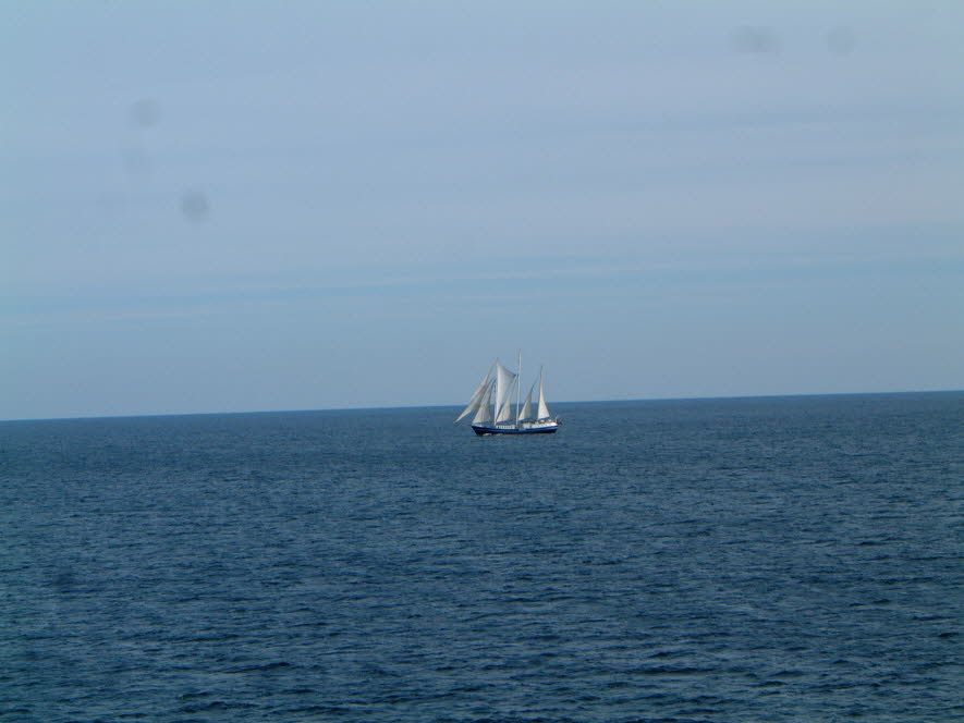 DSCF0231